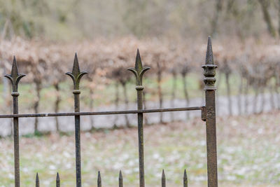 Close-up of barbed wire fence on field