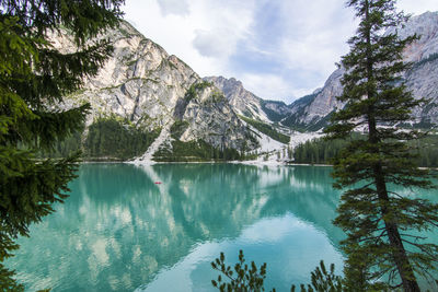 Scenic view of lake by trees against sky