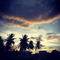 Silhouette of palm trees against cloudy sky