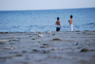 Children playing on the  beach