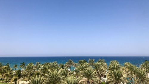 Scenic view of sea against clear blue sky