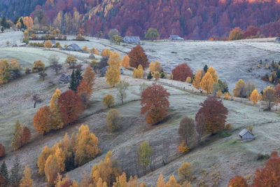 Scenic view of landscape during autumn