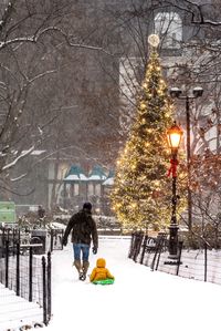 Christmas tree in snow