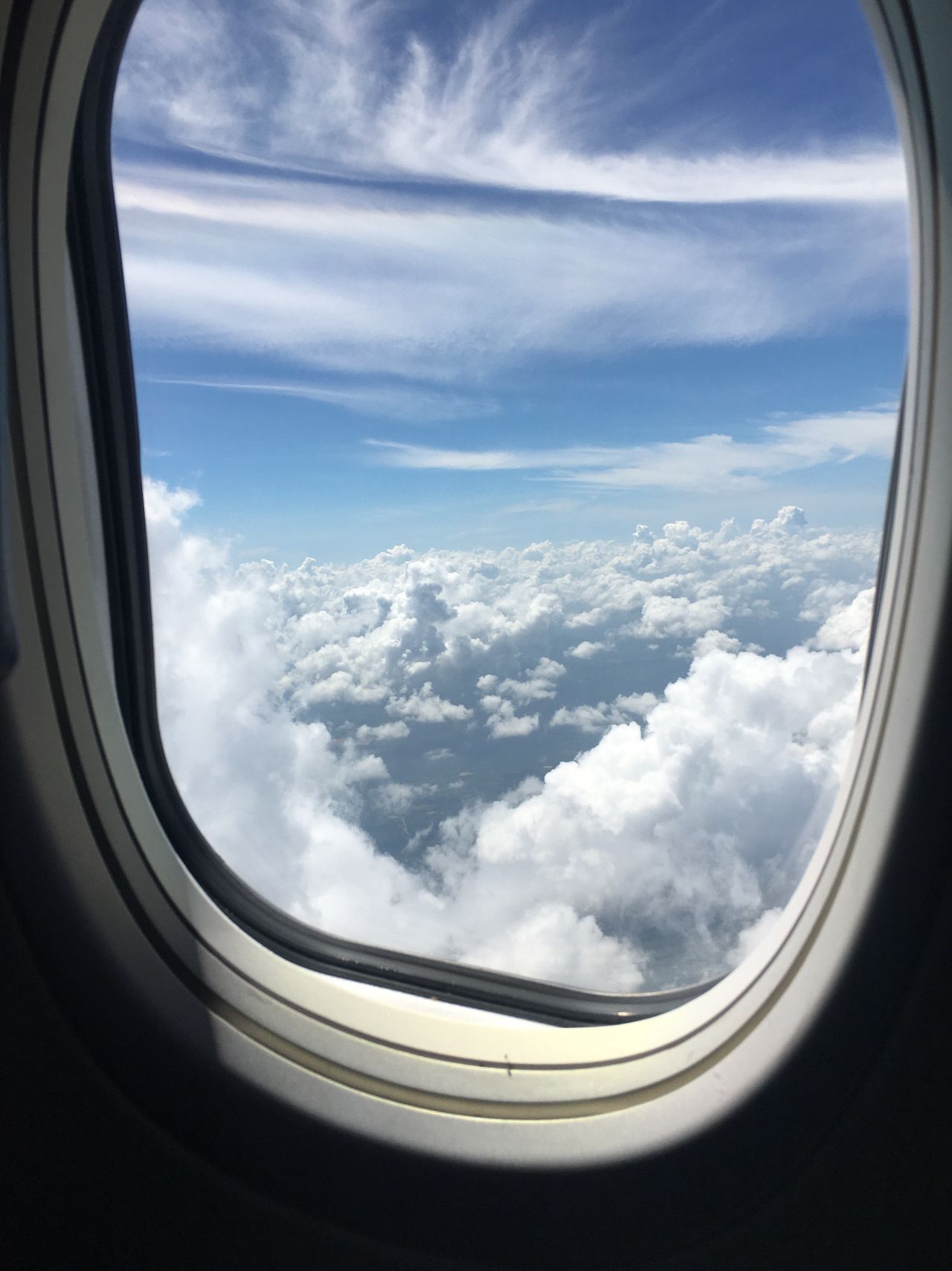 Window of plane