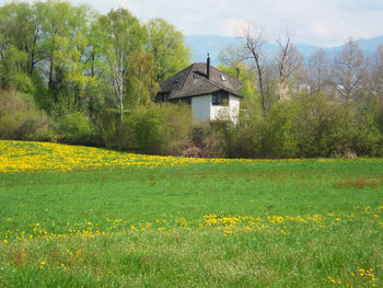 House on field against trees and houses