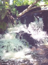 Scenic view of waterfall in forest