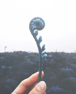 Close-up of hand holding leaf against sky