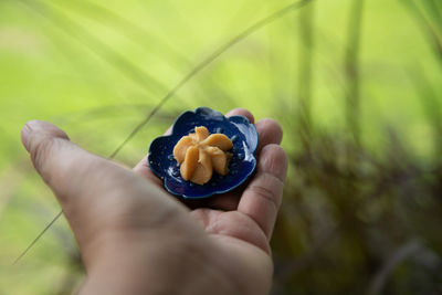 Close-up of hand holding cookie flower