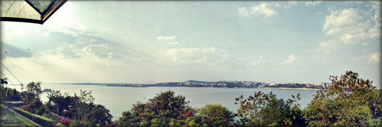 PANORAMIC SHOT OF TREES AGAINST SEA