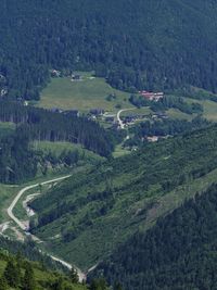 High angle view of agricultural field