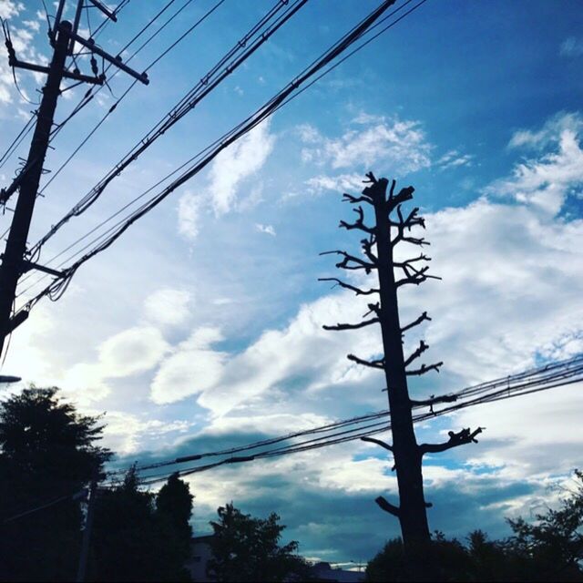 cable, power line, sky, cloud - sky, electricity, power supply, low angle view, electricity pylon, tree, silhouette, fuel and power generation, connection, no people, technology, day, telephone line, outdoors, nature