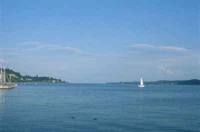 Sailboat sailing in sea against sky