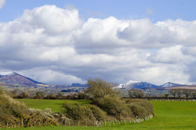 Scenic view of field against sky