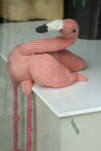 Close-up of stuffed toy