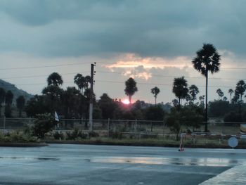 Palm trees by road against sky during sunset
