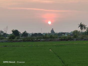 Scenic view of field against sky during sunset