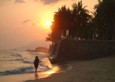 Scenic view of sea at sunset