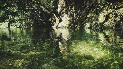 Scenic view of calm lake