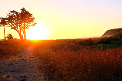 Scenic view of field against sky during sunset