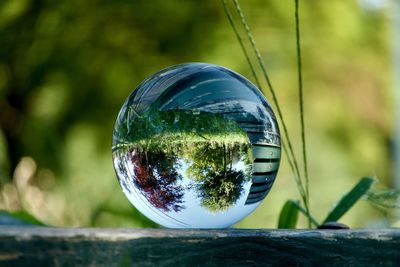 Close-up of crystal ball