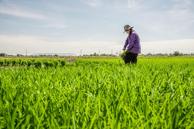 Full length of woman working in farm