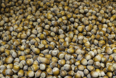 Close up hazelnuts. hazelnut composition and background. organic natural food