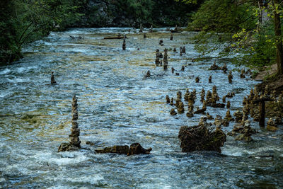 View of ducks swimming in lake