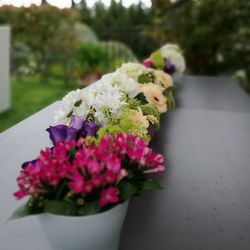 Close-up of flower bouquet