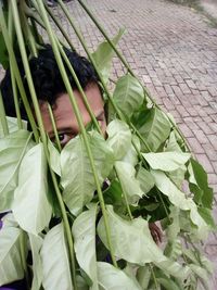 High angle view of man amidst plants