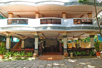 Potted plants by swimming pool outside building