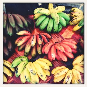 Close-up of vegetables