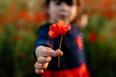 Close up child holding poppy