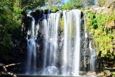 View of waterfall in forest