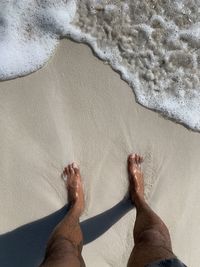 Low section of legs on sand at beach on isabela island galapagos 