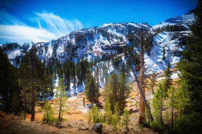 View of trees on mountain against blue sky
