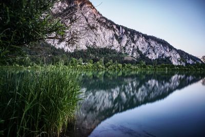 Scenic view of lake by trees against sky