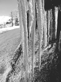 Close-up of icicles on mountain against sky