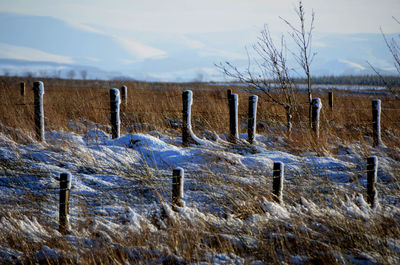 Fence on field against cloudy sky