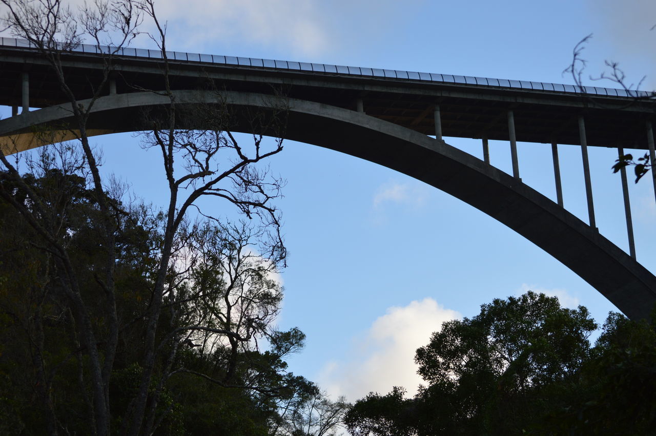 LOW ANGLE VIEW OF BRIDGE AND TREE AGAINST SKY
