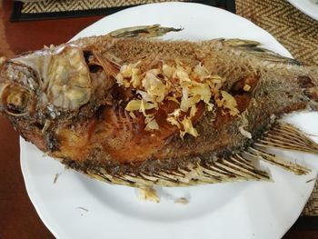 High angle view of fish in plate on table