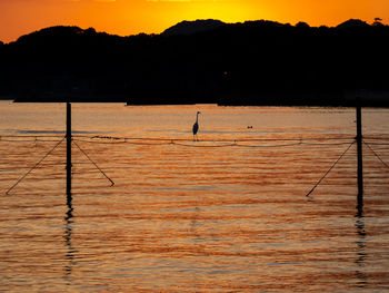 Silhouette person fishing in sea against orange sky