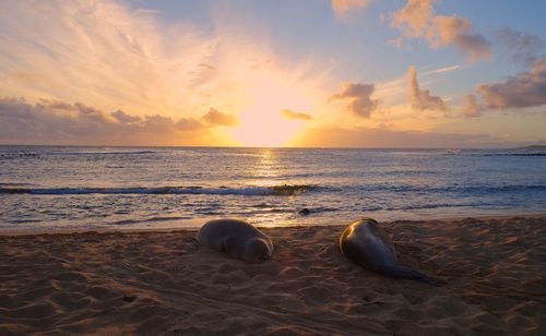 Scenic view of sea against sky during sunset