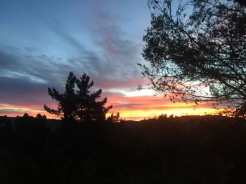 Silhouette trees on landscape against sky at sunset