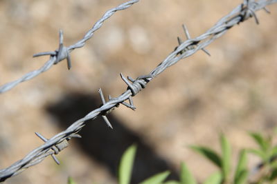 Close-up of barbed wire fence