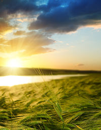 Scenic view of sea against sky during sunset
