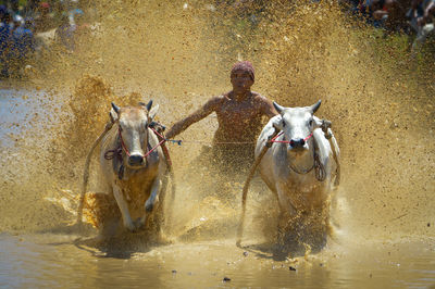 People riding in water