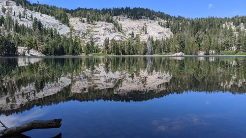 Scenic view of lake by trees against sky