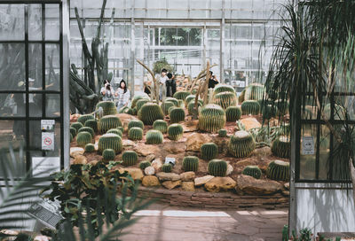 Group of people in greenhouse