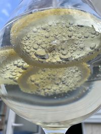 High angle view of drink in glass on table