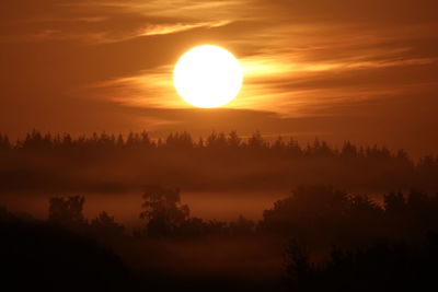 Silhouette trees against orange sky during sunset